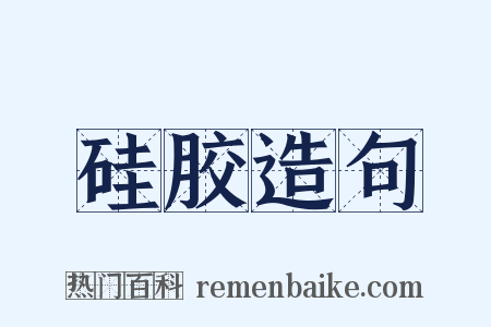 硅胶造句是什么意思的图片